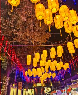 ��ζ��Ļ���2