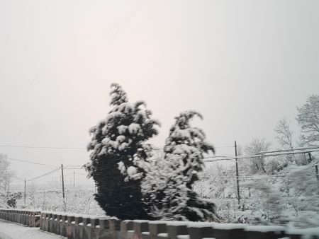 ͼƬ1��ͼƬ�Լ��ĵģ�