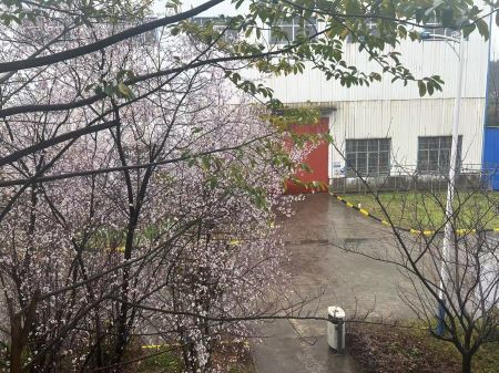 ΢��ͼƬ_20250325105337