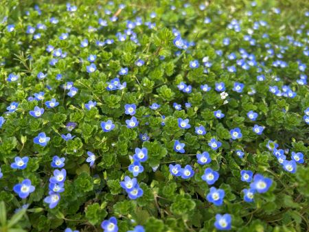 ΢��ͼƬ_20250402145537