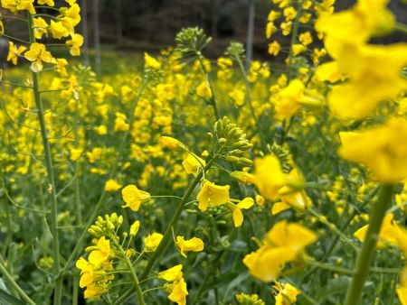 ΢��ͼƬ_20250402145619