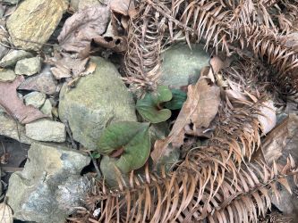 微信图片_20250423162452 微信图片_20250423162452