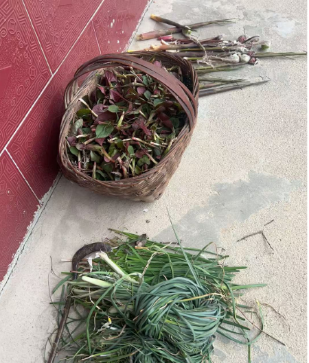 微信图片_20250423163317 微信图片_20250423163317