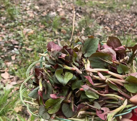 微信图片_20250423163323 微信图片_20250423163323