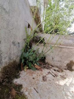 ��������������2