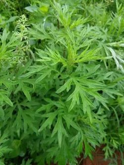 ΢��ͼƬ_20250521160850