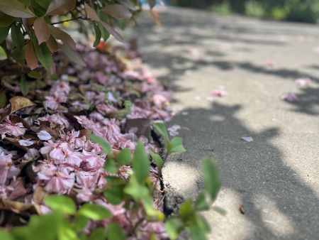 ΢��ͼƬ_20250616162020