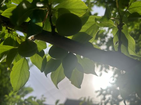 ΢��ͼƬ_20250616162014