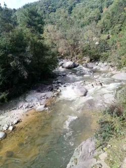 ΢��ͼƬ_20251020161340