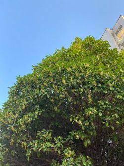 ΢��ͼƬ_20251020161031