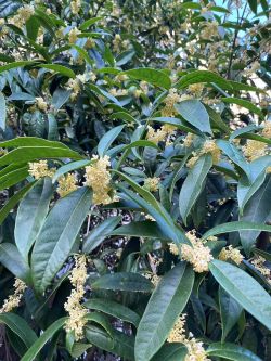 ΢��ͼƬ_20251020161035