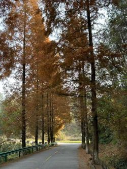 ΢��ͼƬ_20260112095306