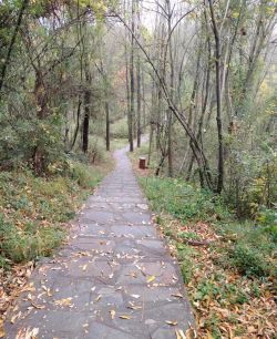 ΢��ͼƬ_20260112095316